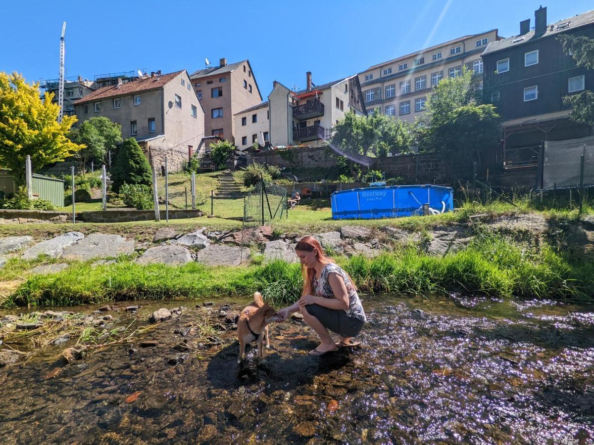 Urlaubstraum Mit Pool, Terrasse & Fluss Im Garten - Ut Apartamento Sebnitz Exterior foto