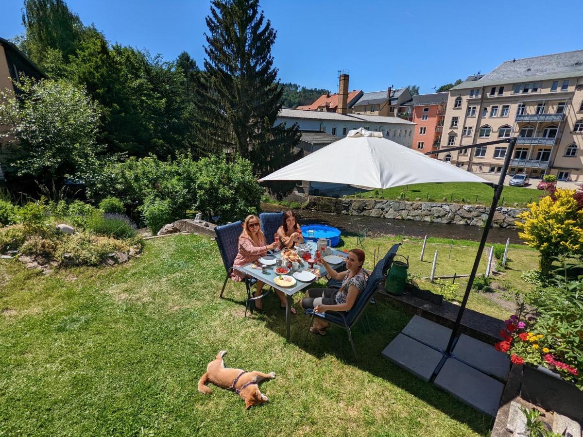 Urlaubstraum Mit Pool, Terrasse & Fluss Im Garten - Ut Apartamento Sebnitz Exterior foto